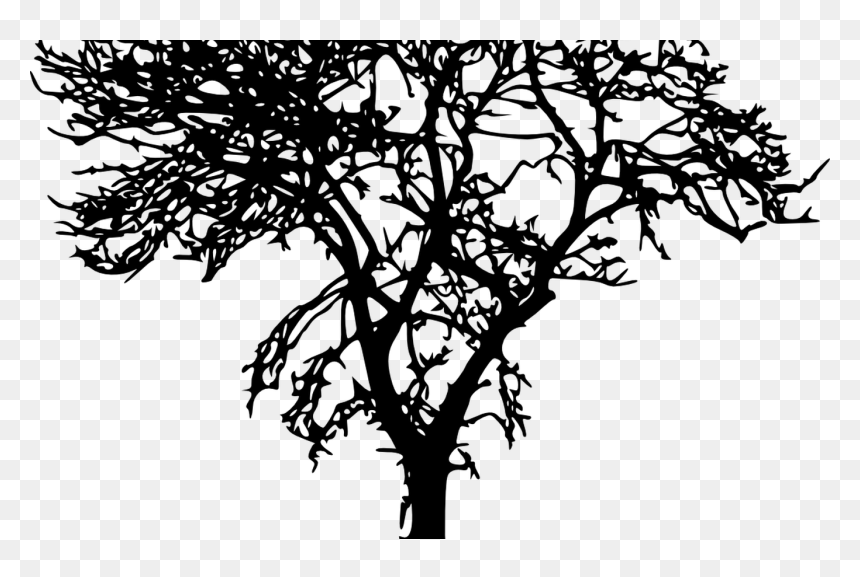 18 Bare Tree Silhouette Vol 2 Onlygfxcom - Tree Silhouette, HD Png Download - bare tree png