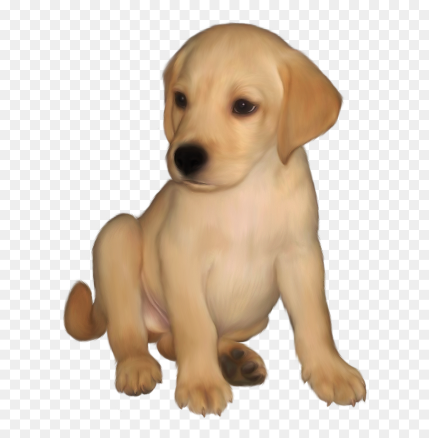 Labrador Retriever Png - Clip Art Golden Retriever Puppies, Transparent Png - cute puppy png