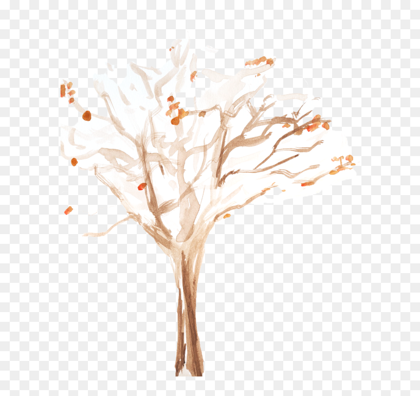 Still Life Photography, HD Png Download - bare tree png