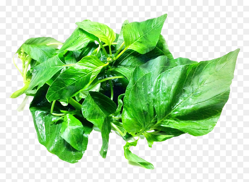 Transparent Green Leaves Png - Amaranth Leaves Png, Png Download - green leaves png