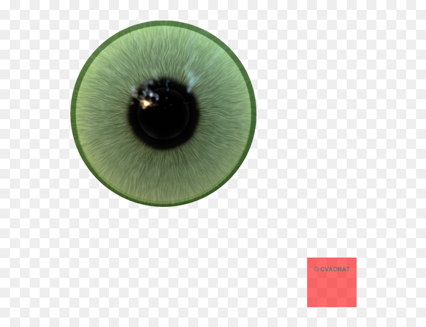 Eyeball Png Realistic - Macro Photography, Transparent Png - human eyes png