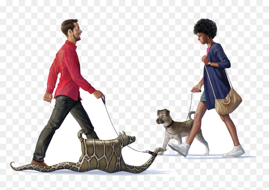 Factors That Up The Chances An Exotic Pet Gets Released - Exotic Pets, HD Png Download - people walking dog png