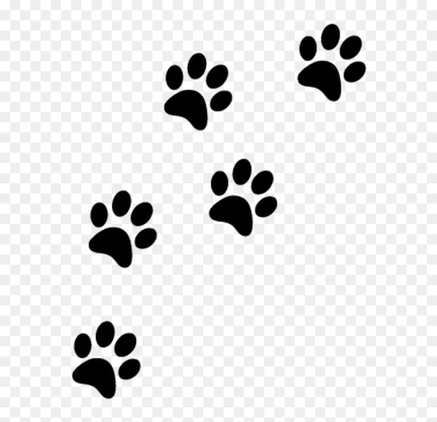 Thumb Image - Transparent Cat Paw Prints, HD Png Download - chat png