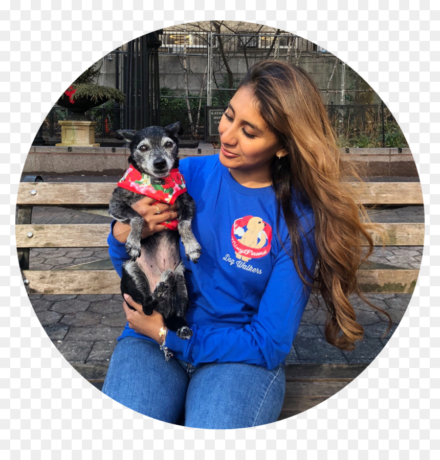 Companion Dog, HD Png Download - people walking dog png