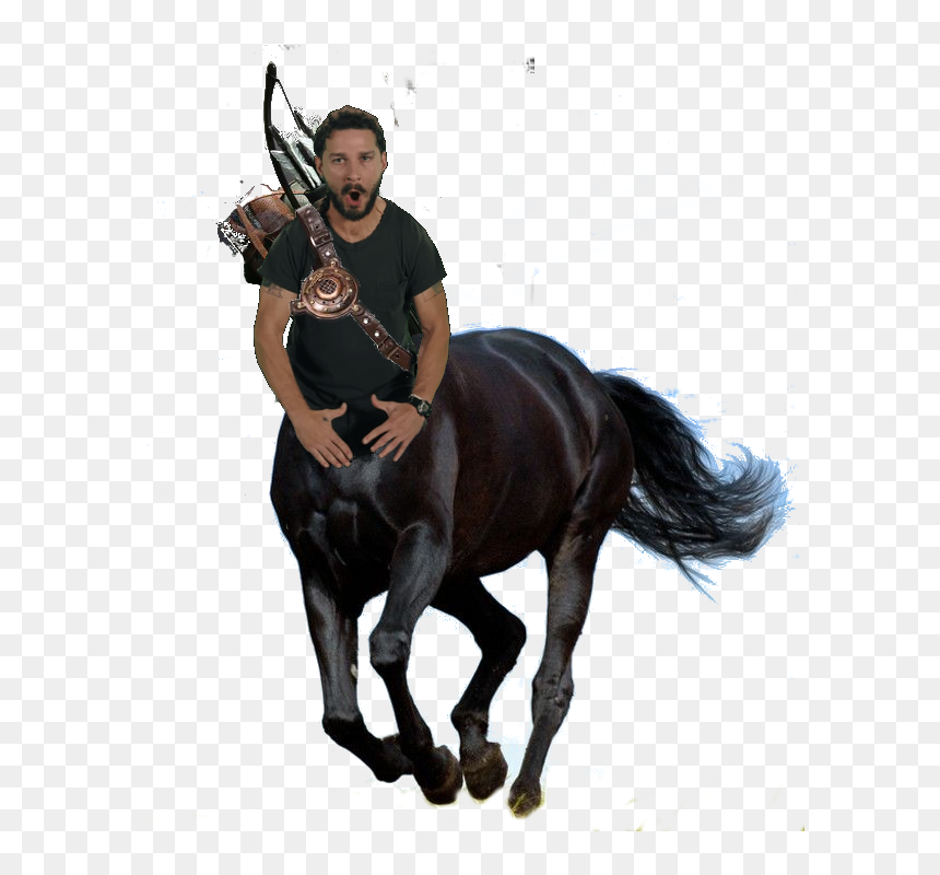 Black Beauty Horse Poem, HD Png Download - shia labeouf png