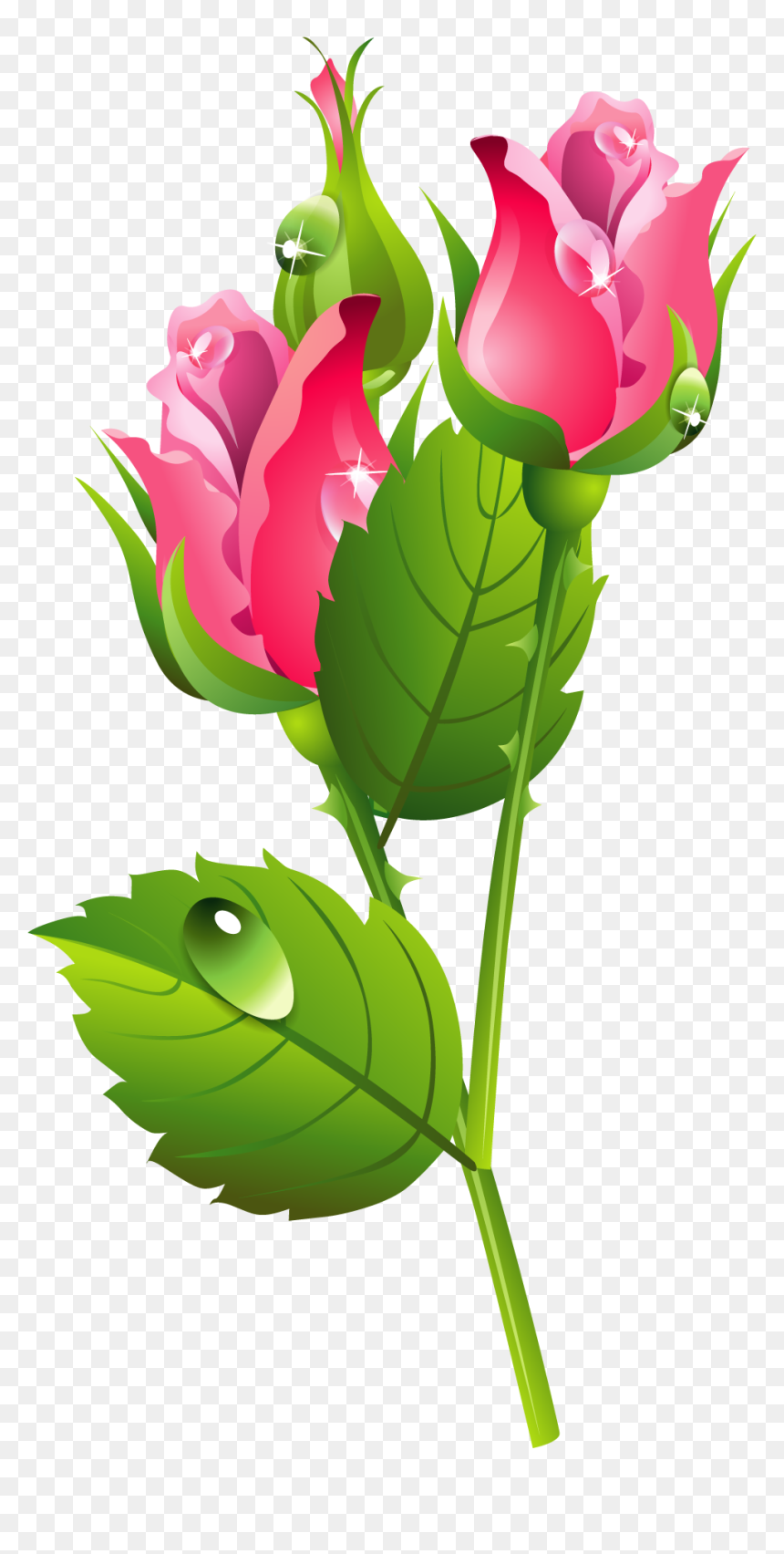 Romantic Pink Flower Border Png Transparent Image Png - Png Guldasta, Png Download - flowers border png