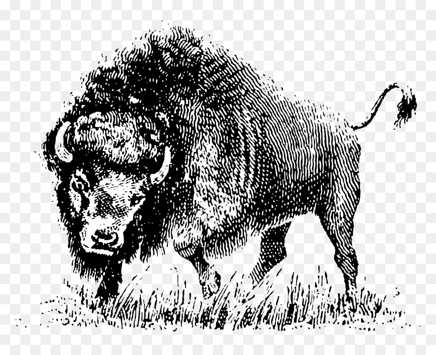 Buffalo Clip Arts - Bison Silhouette Clip Art, HD Png Download - buffalo png