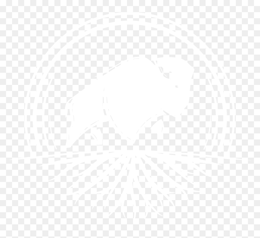 White Buffalo , Png Download - White Buffalo Land Trust, Transparent Png - buffalo png