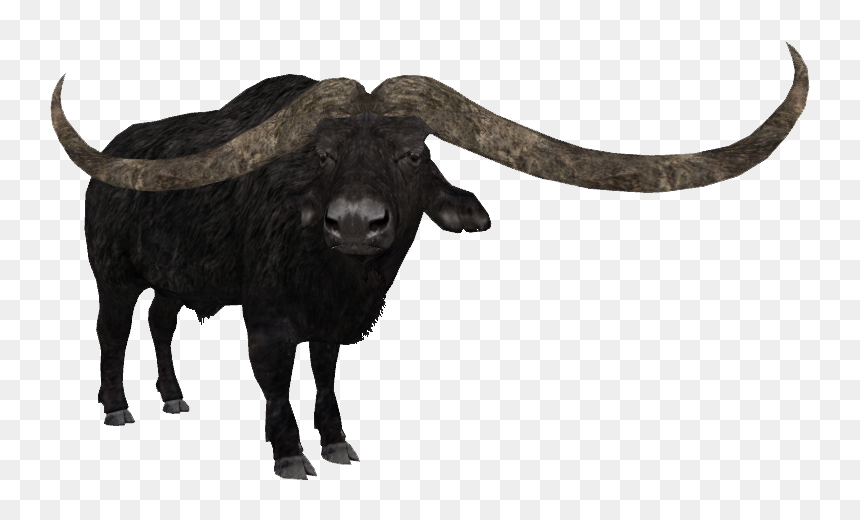Transparent Buffalo Png - Tycoon Zoo Bison, Png Download - buffalo png
