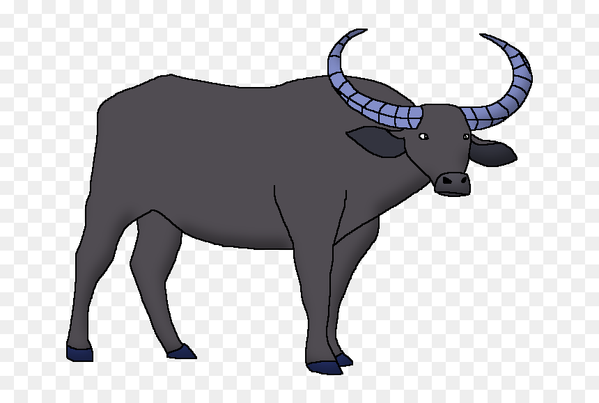 Wildlife Animal Pedia Wiki - Bull, HD Png Download - buffalo png