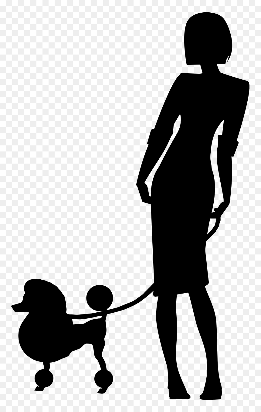 Standard Poodle, HD Png Download - people walking dog png