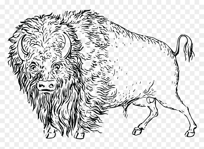 Portable Network Graphics, HD Png Download - buffalo png