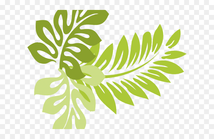 Tropics Clipart Jungle Leaves - Hawaiian Plant Clip Art, HD Png Download - jungle leaves png
