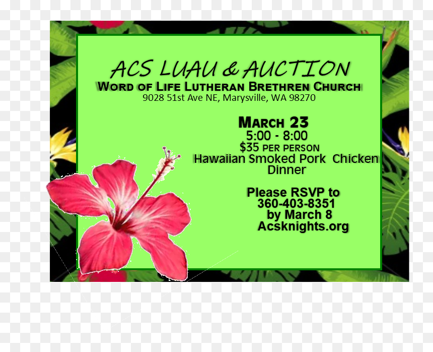 Luau Png , Png Download - Chinese Hibiscus, Transparent Png - luau png