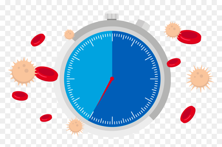 What Is Blood Cancer - Circle, HD Png Download - clock clipart png