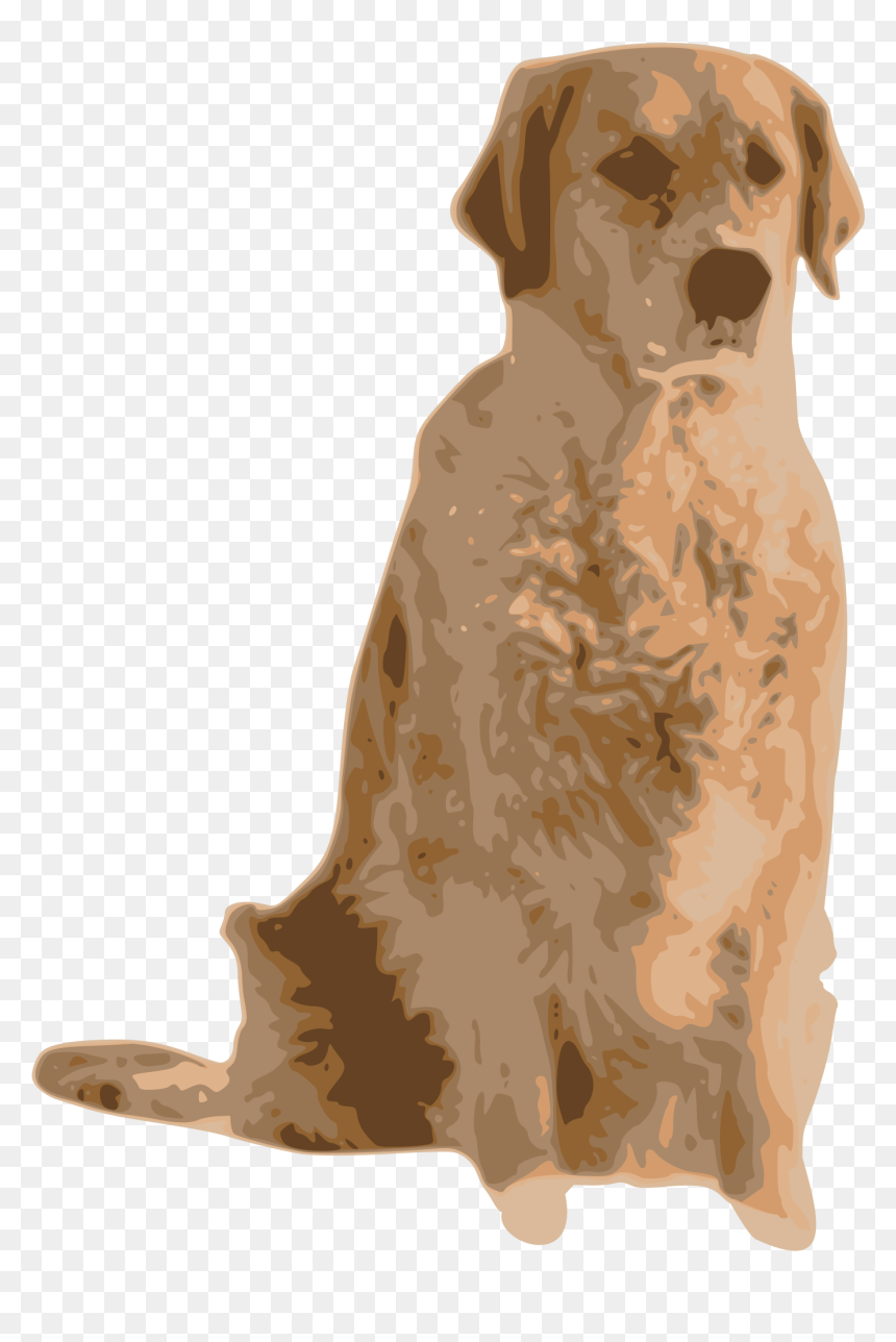 Golden Retriever Free Png Image - Retriever, Transparent Png - golden retriever png