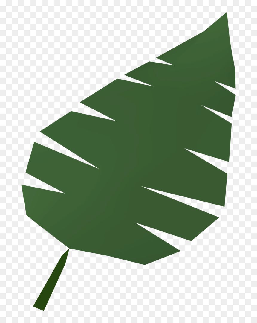 The Runescape Wiki - Illustration, HD Png Download - jungle leaves png