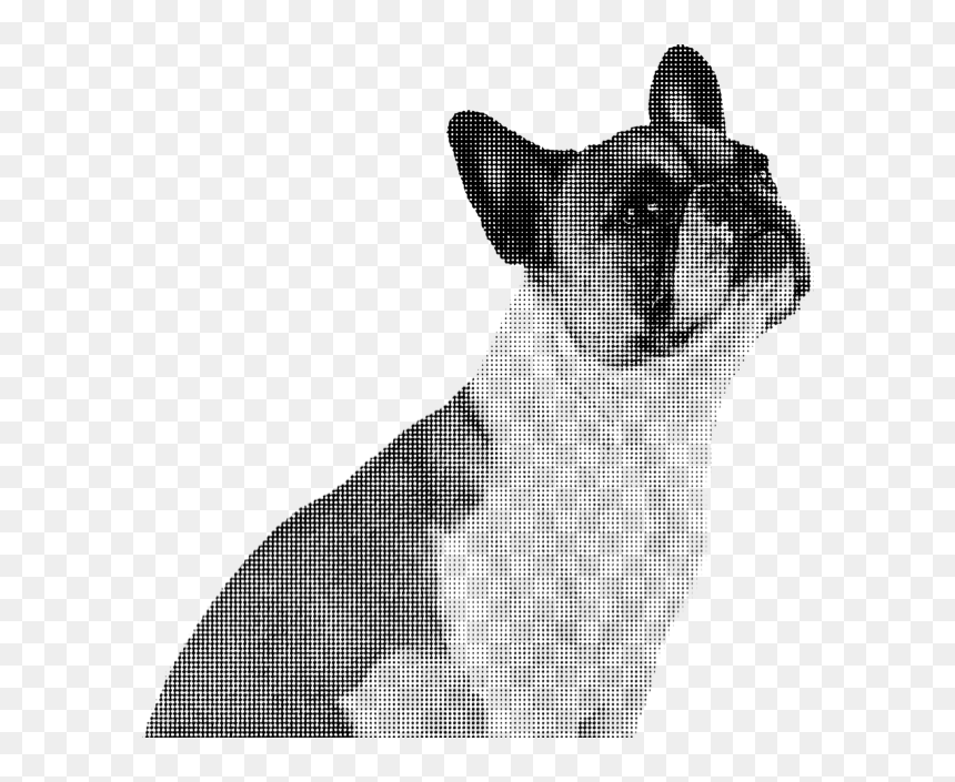 French Bulldog, HD Png Download - people walking dog png