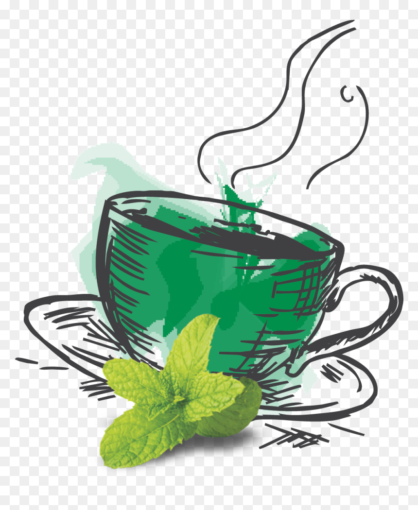 Illustration, HD Png Download - green tea png