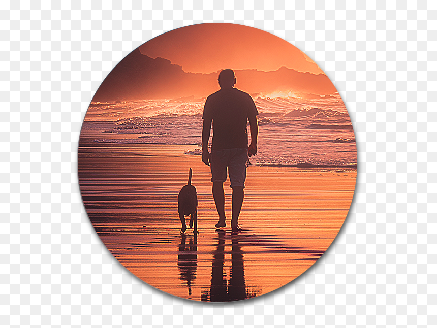 Silhouette, HD Png Download - people walking dog png