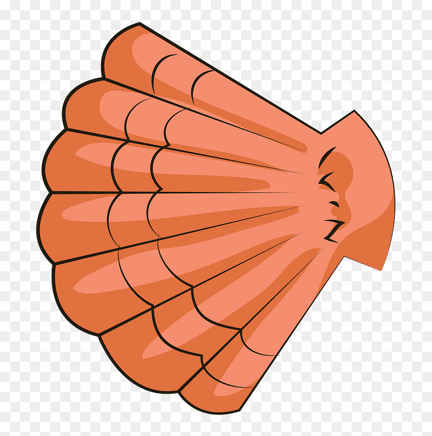 Sea Shell Clipart - Illustration, HD Png Download - sea png