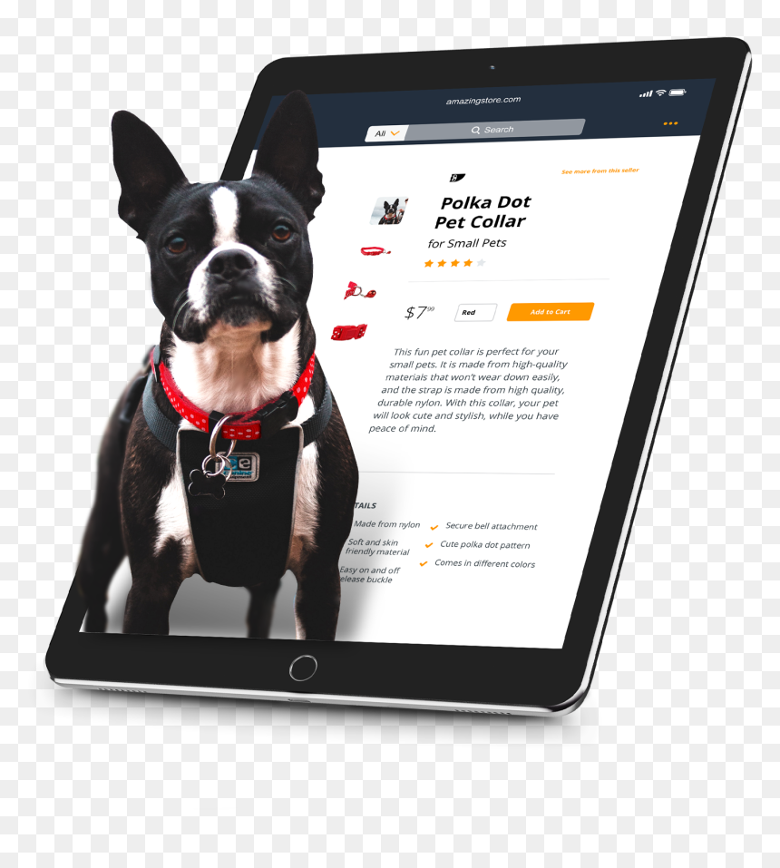 Boston Terrier, HD Png Download - polka dot pattern png
