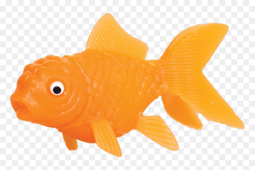 Plastic Goldfish - Transparent Background Goldfish Fish, HD Png Download - gold fish png