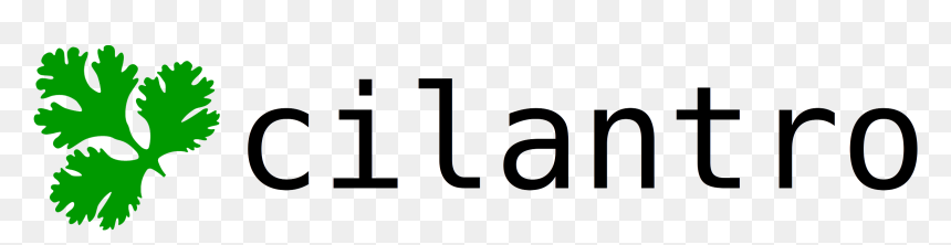 Do You Say Shoot In Spanish, HD Png Download - cilantro png