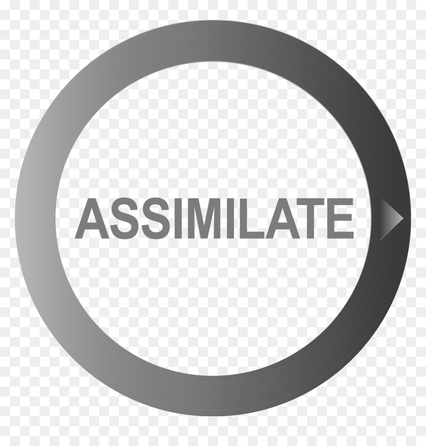 Assimilate Scratch Logo, HD Png Download - scratch texture png