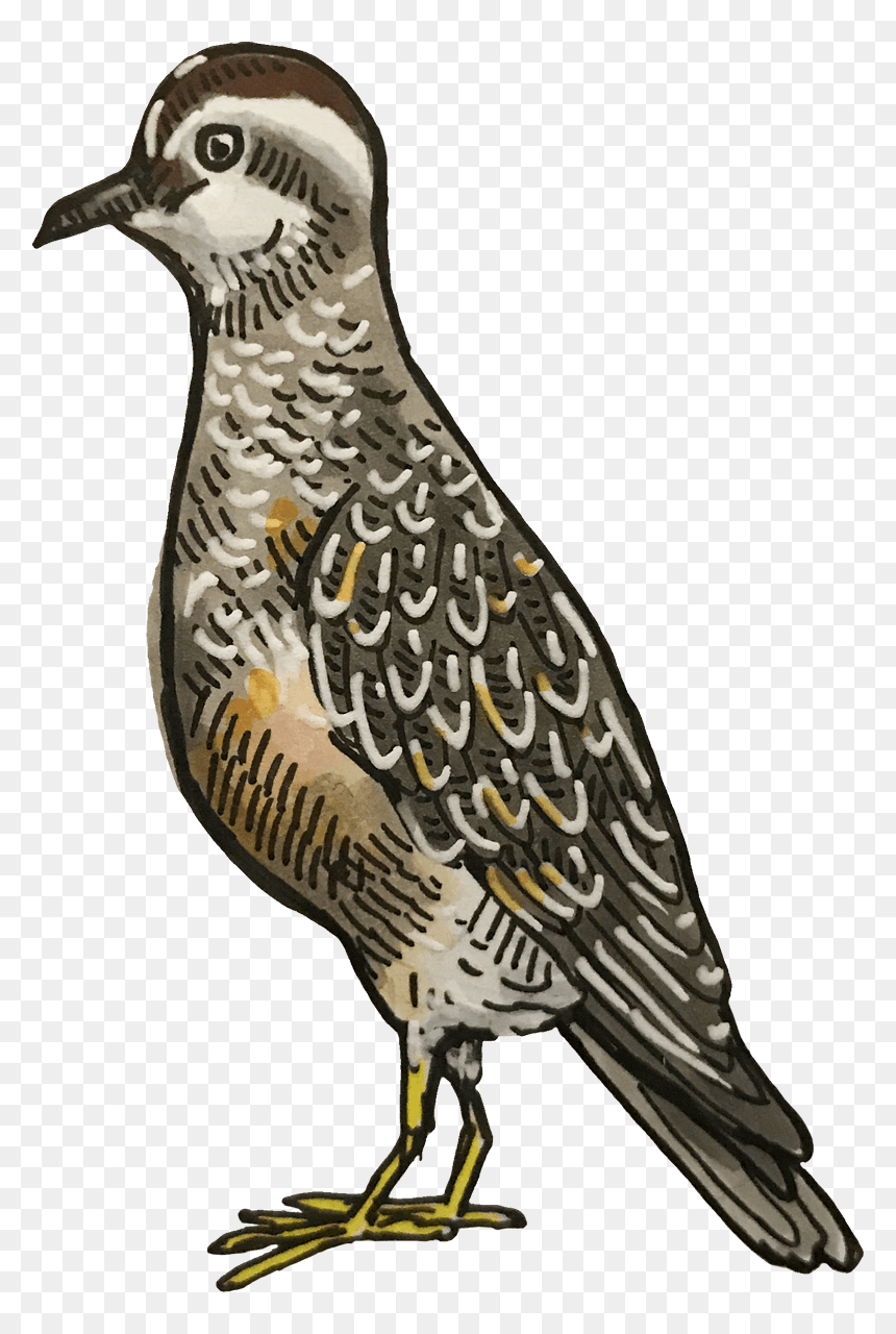 Transparent King Throne Png - Lark, Png Download - king throne png