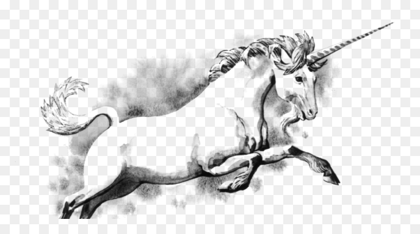 National Unicorn Day Scotland, HD Png Download - loch ness monster png