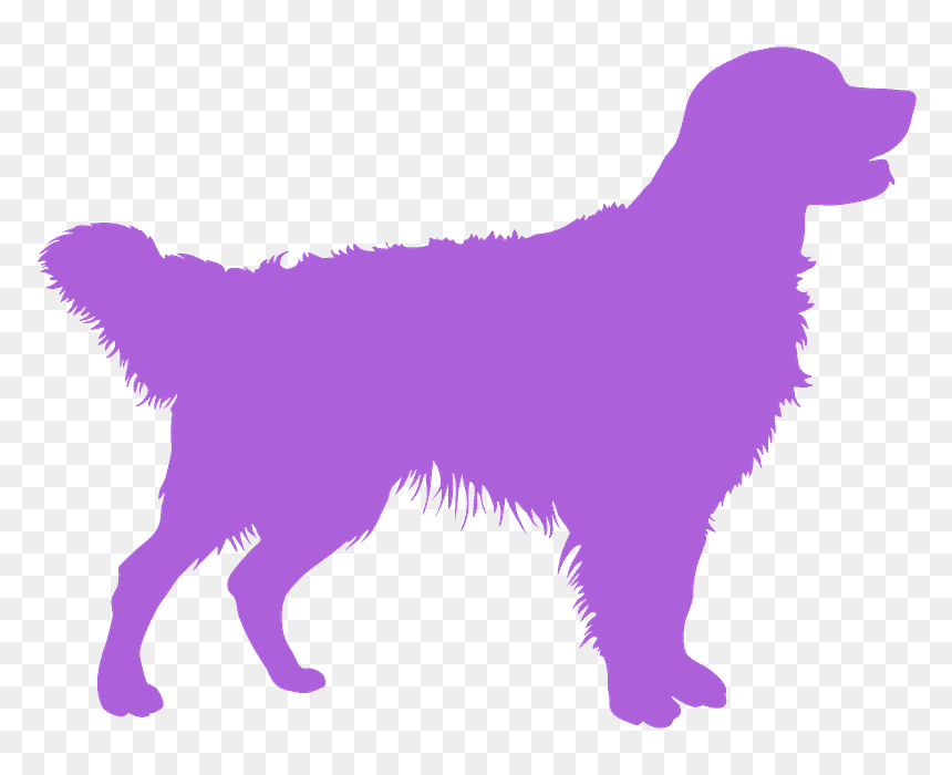 Golden Retriever Silhouette, HD Png Download - golden retriever png