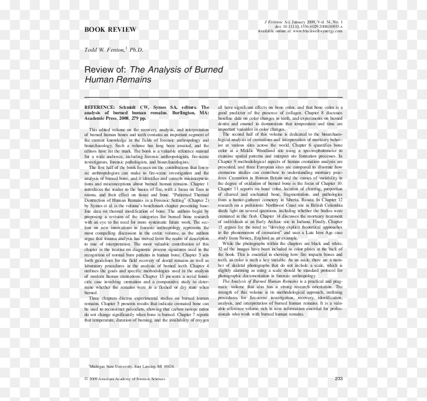 Document, HD Png Download - burned paper png