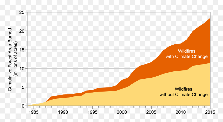 Timeline Of Australia Fires, HD Png Download - burned paper png