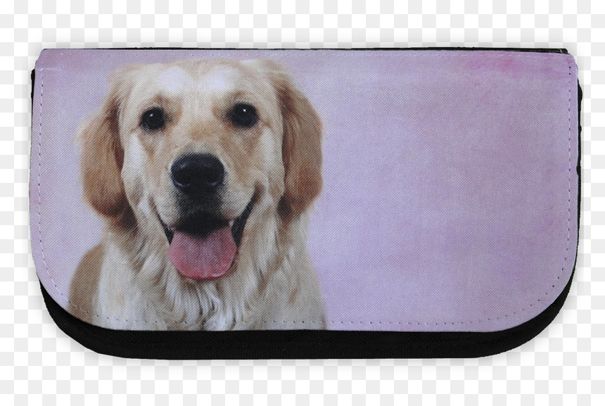 Golden Retriever, Pencil Case - Dog Yawns, HD Png Download - golden retriever png
