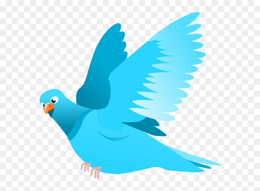 Thumb Image - Transparent Flying Bird Clipart, HD Png Download - bird flying png