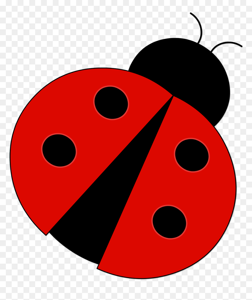 Download Red Ladybug Png Pic - Ladybug Illustration Png, Transparent Png - lady bug png