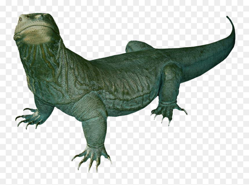 Komodo Dragon Clipart In A Birthday Hat Clip Freeuse - Komodo Dragon Transparent Background, HD Png Download - birthday hat transparent png
