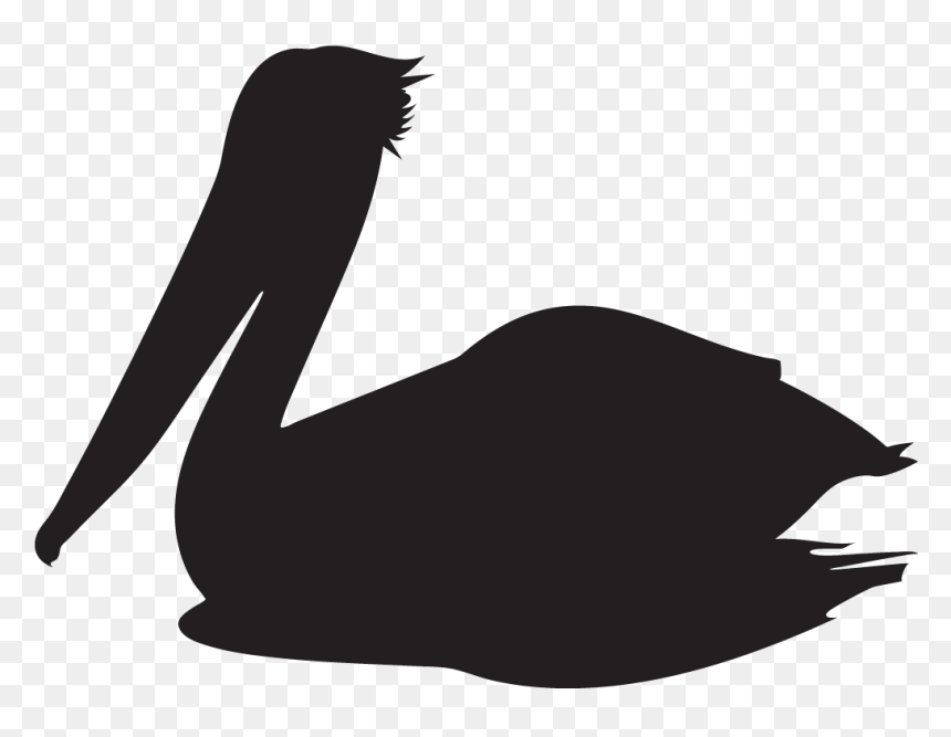 - Pelican , Png Download - Silhouette Pelican Clip Art, Transparent Png - pelican png