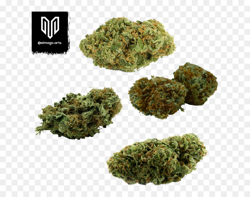 Sour Cheese Strain, HD Png Download - weed.png
