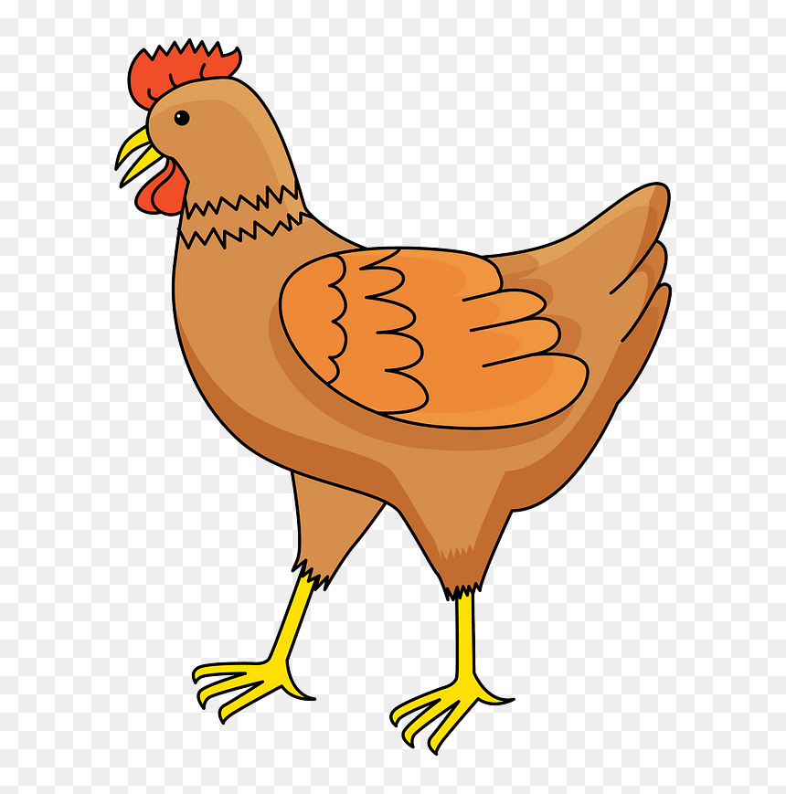 Hen Clipart, HD Png Download - hen png