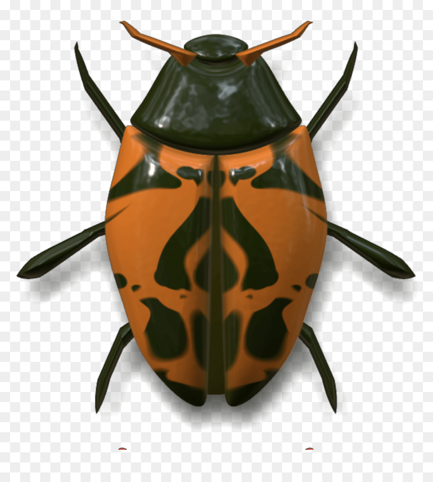 Ladybug Dark Green And Orange - Volkswagen Beetle Insect, HD Png Download - lady bug png