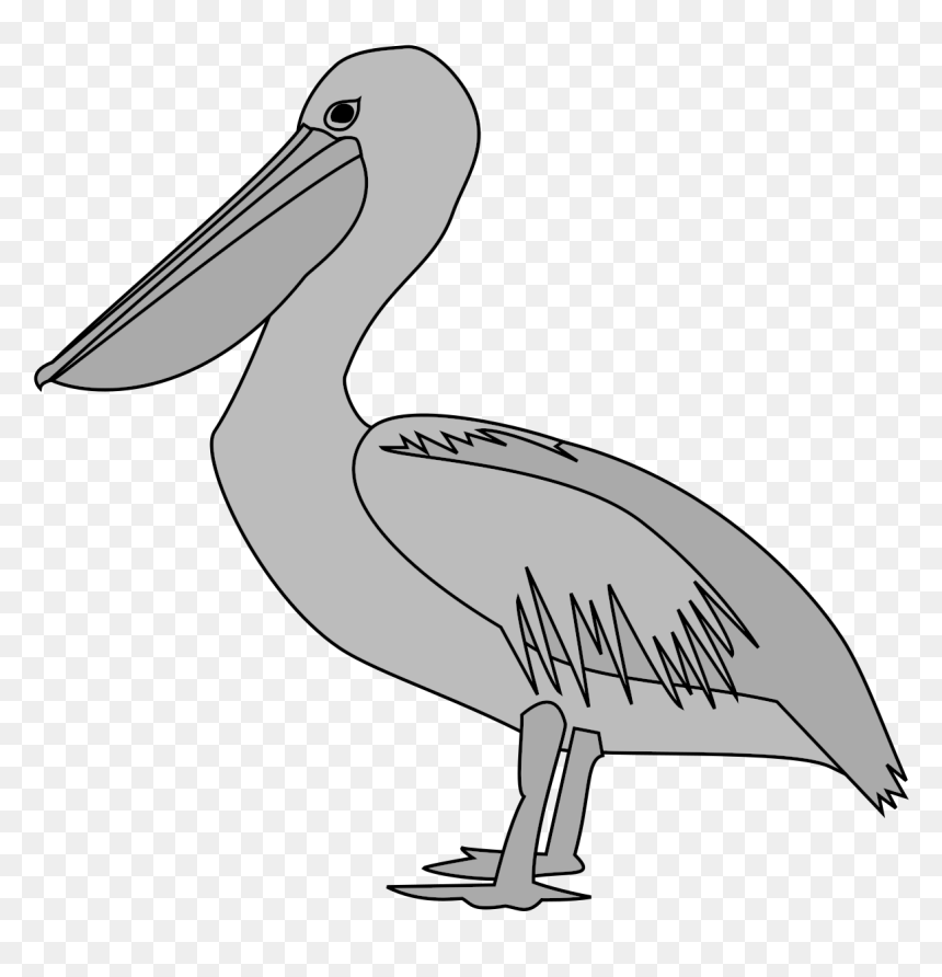 Heraldic Pelican, HD Png Download - pelican png
