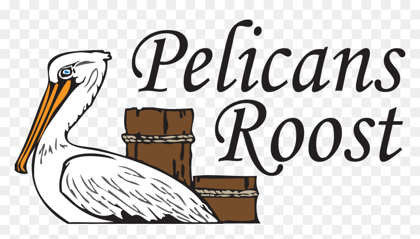 Thumb Image - Boutique, HD Png Download - pelican png