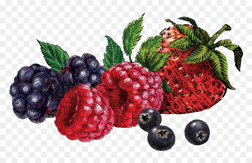 Berries Png - Siggis Yogurt Mixed Berry, Transparent Png - berries png