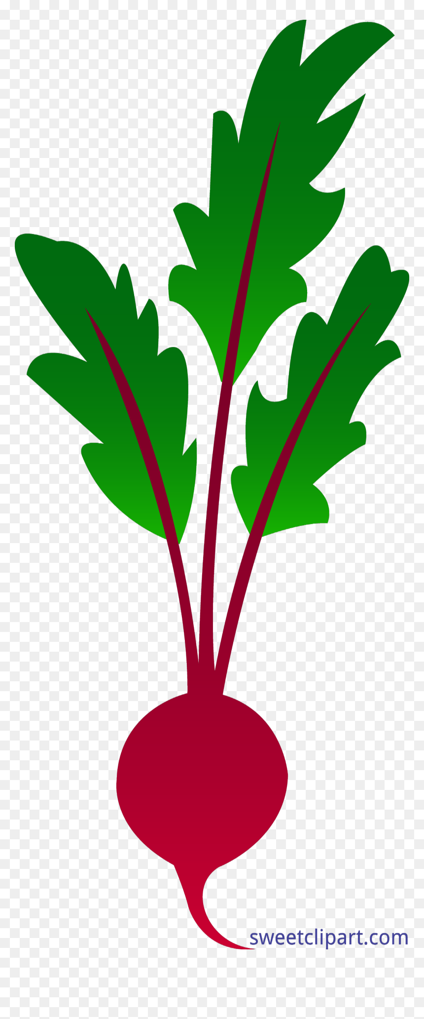 Encode Clipart To Base - Red Beet Clipart, HD Png Download - beet png