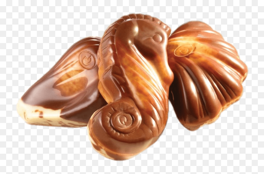 Guylian Chocolate Seashells Clip Arts - Guylian Belgian Chocolate Seashells, HD Png Download - seashells png