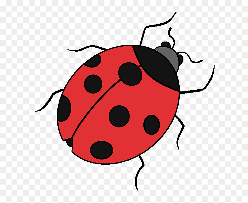 Drawing Ladybird Beetle Image Tutorial Clip Art - Easy Drawing Step By Step, HD Png Download - lady bug png