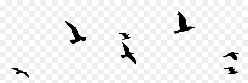 Silhouette Flock Of Birds, HD Png Download - birds silhouette png