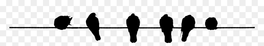 Problemas En La Conciliación, HD Png Download - birds silhouette png